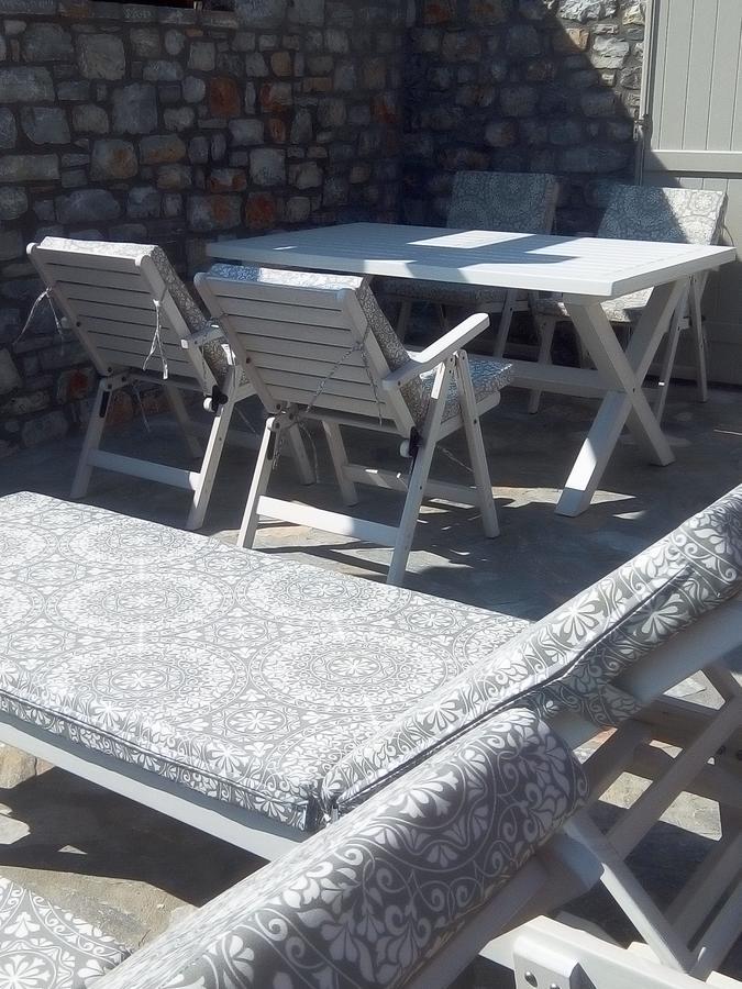 Notos Villa Schoinoussa エクステリア 写真